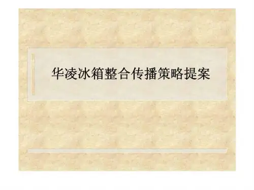 华凌冰箱整合传播策略提案
