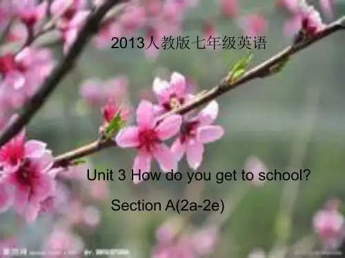 2013版七年级下册英语Unit3SectionA(2a-2e)