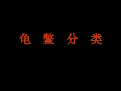 龟   鳖   分   类