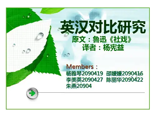英汉对比研究