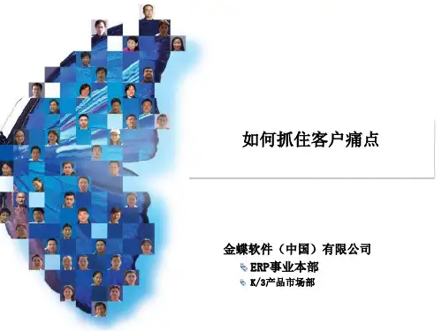 怎样抓住客户痛点PPT(20张)