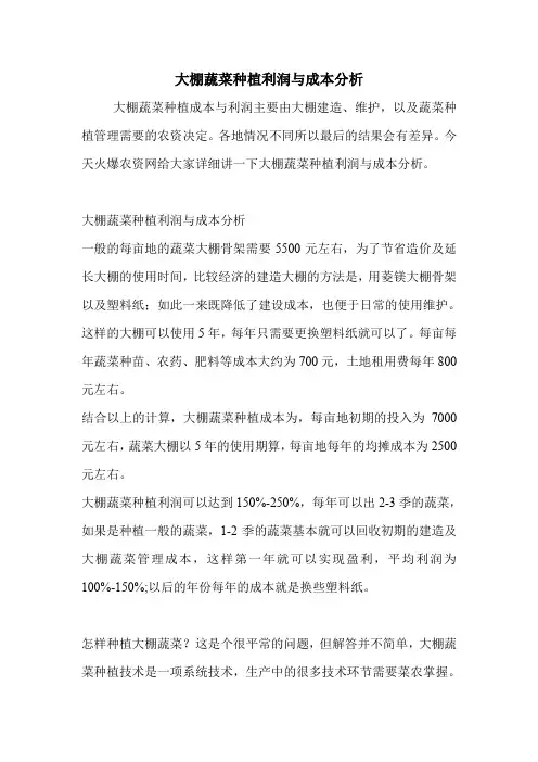 大棚蔬菜种植利润与成本分析.doc