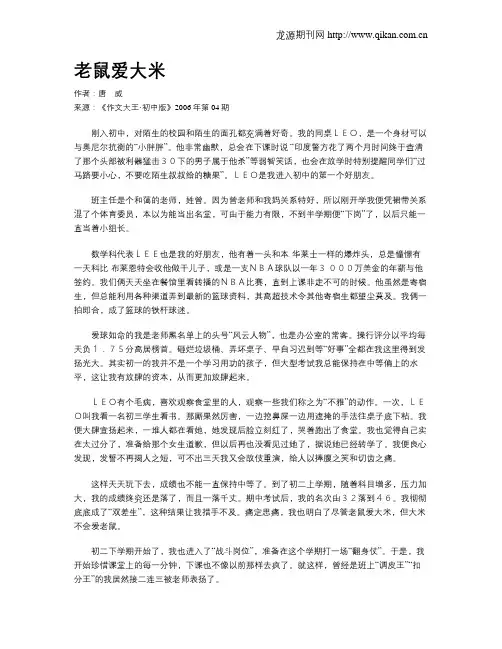 老鼠爱大米