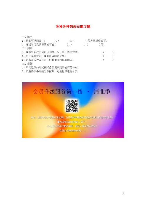 四年级科学下册4.1《各种各样的岩石》练习题教科版