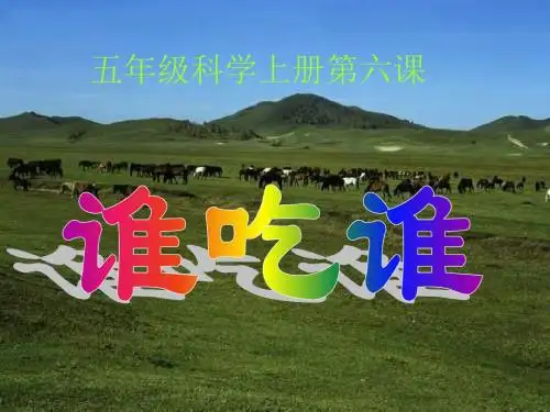 鄂教版五年级科学上册课件 谁吃谁 3