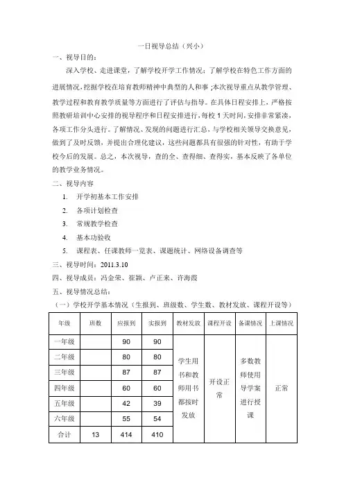 一日视导总结(兴小)