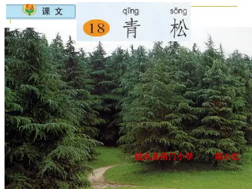 二年级上册语文课件     18.《青松》第二课时     苏教版