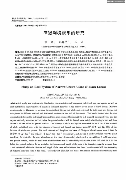 窄冠刺槐根系的研究