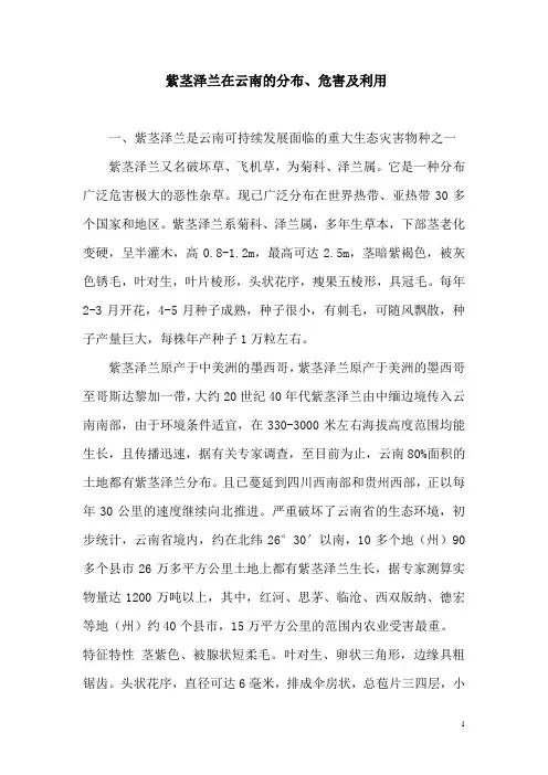 紫茎泽兰在云南的分布、危害及利用