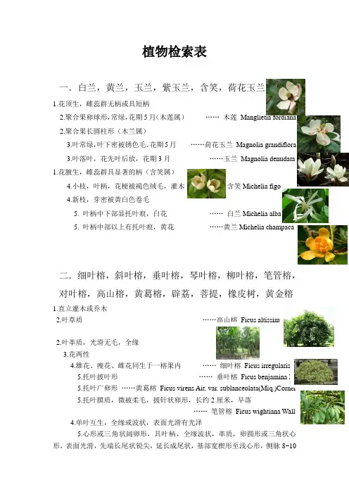 (完整word版)植物检索表