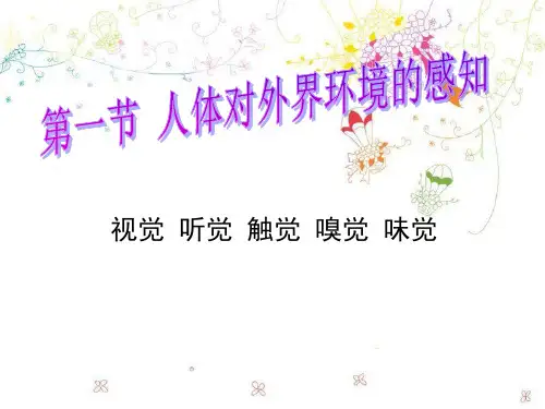 视觉听觉触觉嗅觉味觉-PPT课件