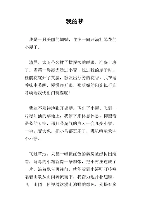 我的梦