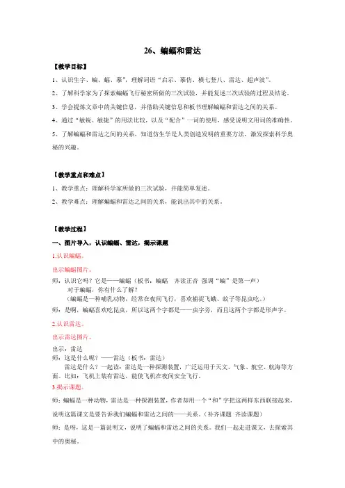 蝙蝠和雷达