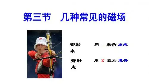 物理选修3-1-3.3几种常见的磁场 (1)