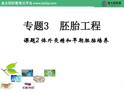 2015-2016学年 3.2《体外受精和早期胚胎培养》课件