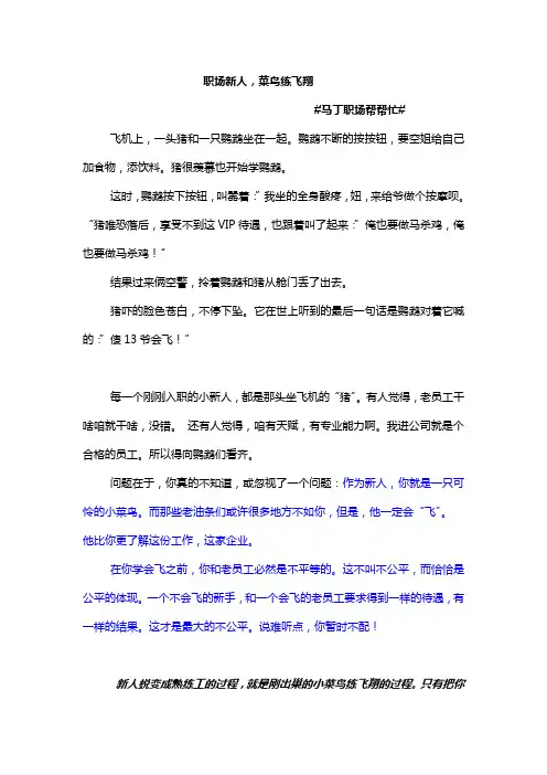 职场新人,菜鸟练飞翔