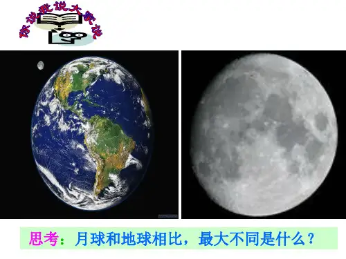 《世界因生命而精彩》