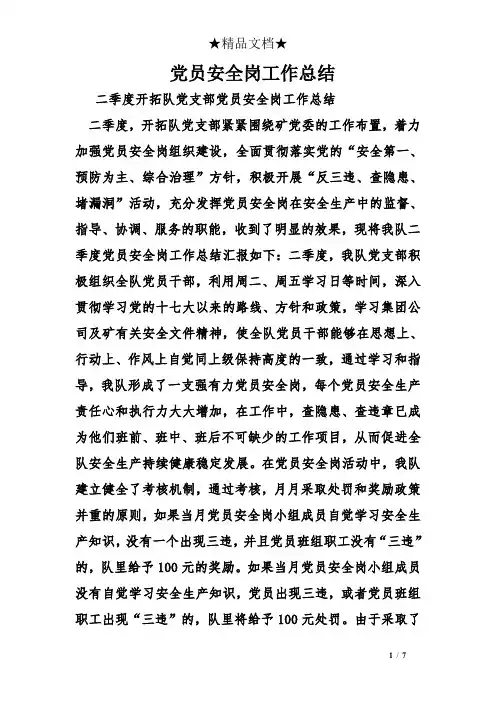 党员安全岗工作总结