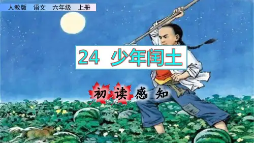《少年闰土》课件PPT