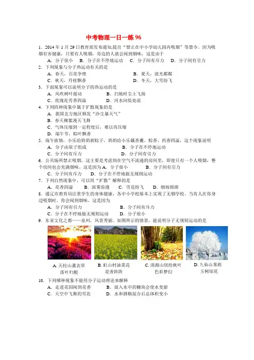中考物理一日一练96