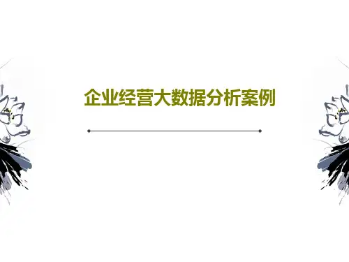 企业经营大数据分析案例共110页