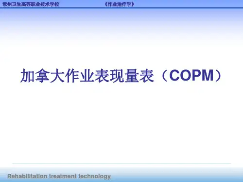 加拿大作业表现量表