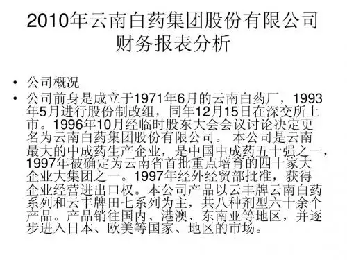 2010年公司财务报表分析