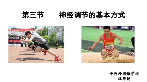 人教版七下生物课件 第六章  第三节  神经调节的基本方式  ( 20张PPT)