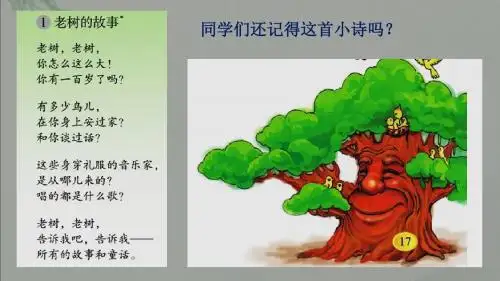 种子的梦2003