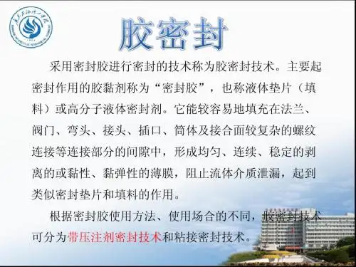 第四组 胶密封