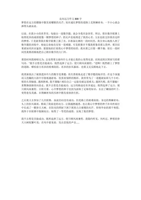 走向远方作文800字(高分作文)