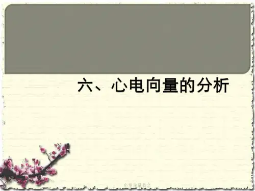 心电向量概念