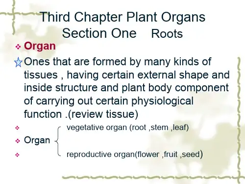 药用植物学 第3章 植物器官1_根