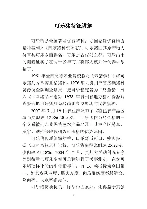 可乐猪介绍