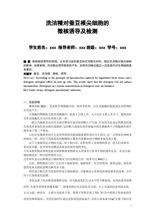 洗洁精对蚕豆根尖的微核诱导实验 文档