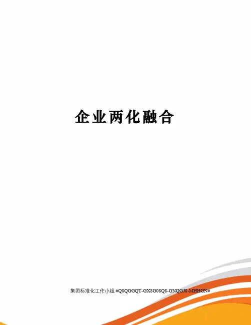 企业两化融合