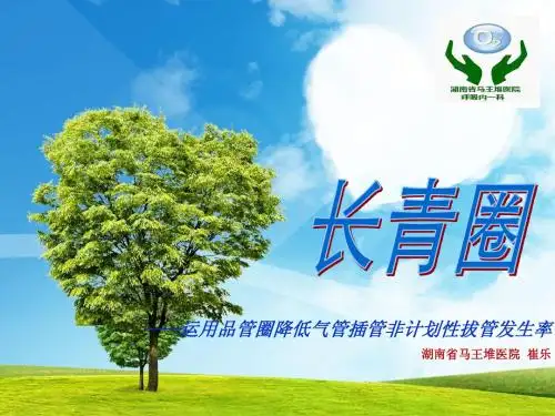 长青圈