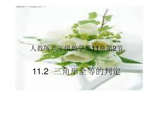 11.2 三角形全等的判定