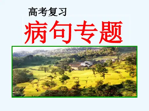 (精品)病句专题