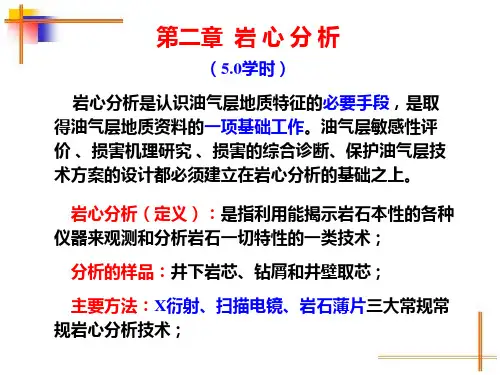 岩心分析