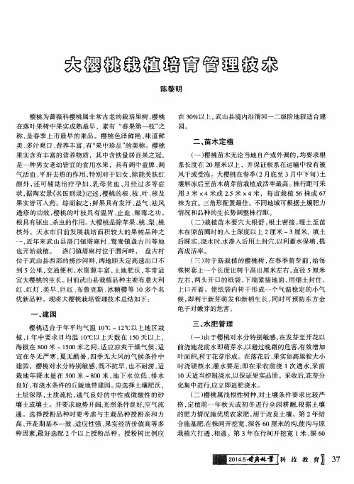 大樱桃栽植培育管理技术