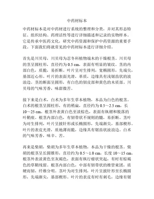 中药材标本