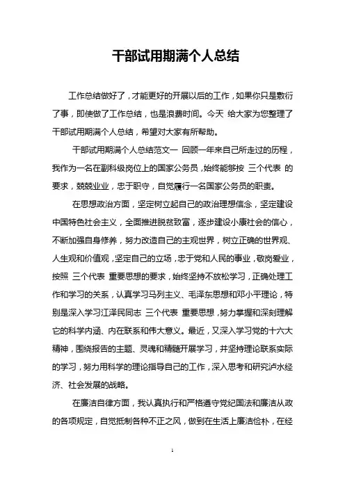 干部试用期满个人总结
