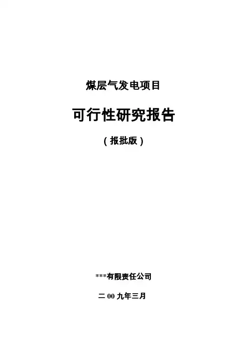煤层气发电项目可行性研究报告