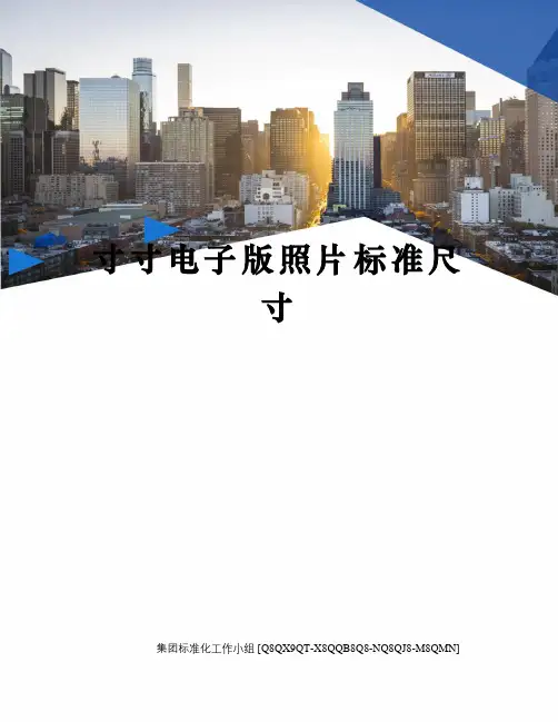 寸寸电子版照片标准尺寸