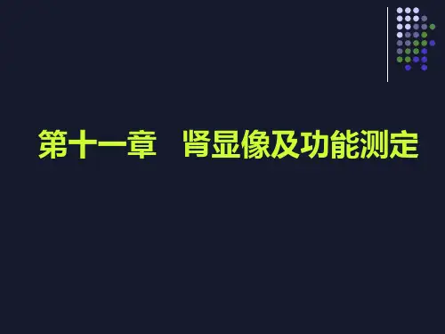 【核医学】第11章肾显像及功能测定