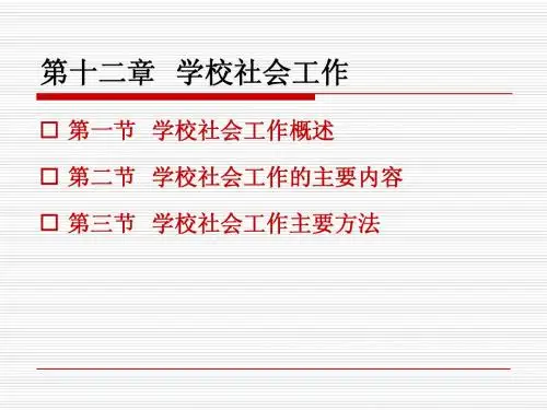 11社会工作 实务—— 学校社会工作