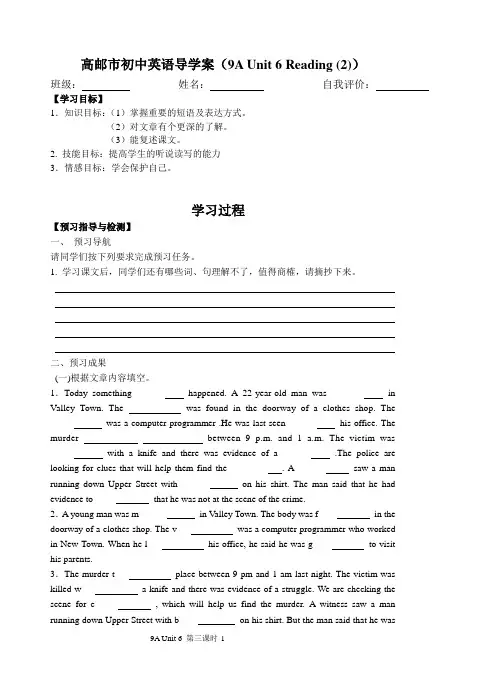 9A Unit 6-3 Reading2导学案