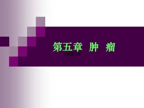 病理 讲课课件 第5章肿瘤