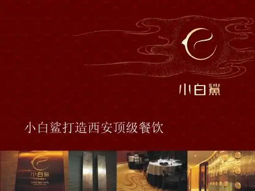 小白鲨宣传演示稿2